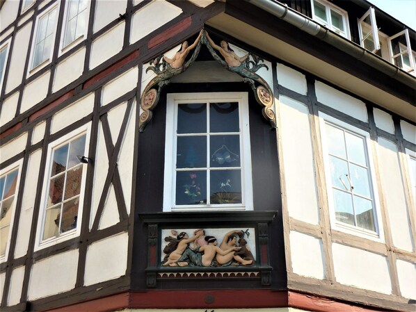Exterior - Ferienwohnung Tuchtfeld (Goslar)