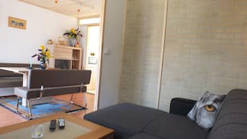 Comfort huis, 1 tweepersoonsbed met slaapbank, niet-roken | Woonruimte | Een flatscreentelevisie