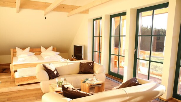 A bedroom with a bed, a sofa, a TV, and large windows. - Altsächsischer Gasthof Kleines Vorwerk (Sayda)
