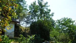 A garden with a house, a dog lying on the grass, and a person sitting on a chair. - Ferienhaus Leitenhof (Döbrököz)