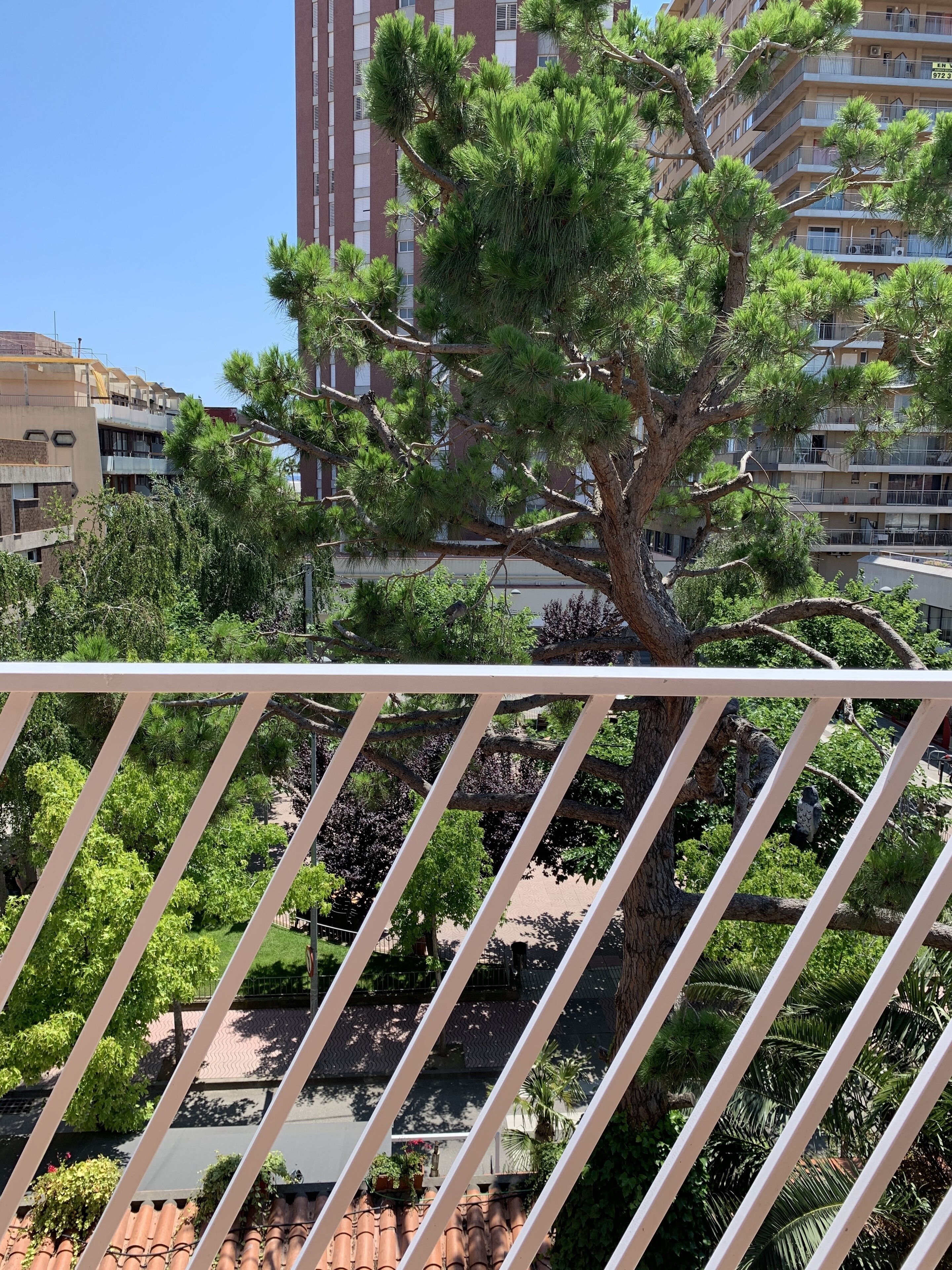 Kamer, 1 twee- of 2 eenpersoonsbedden, terras, uitzicht op tuin | Kameruitzicht