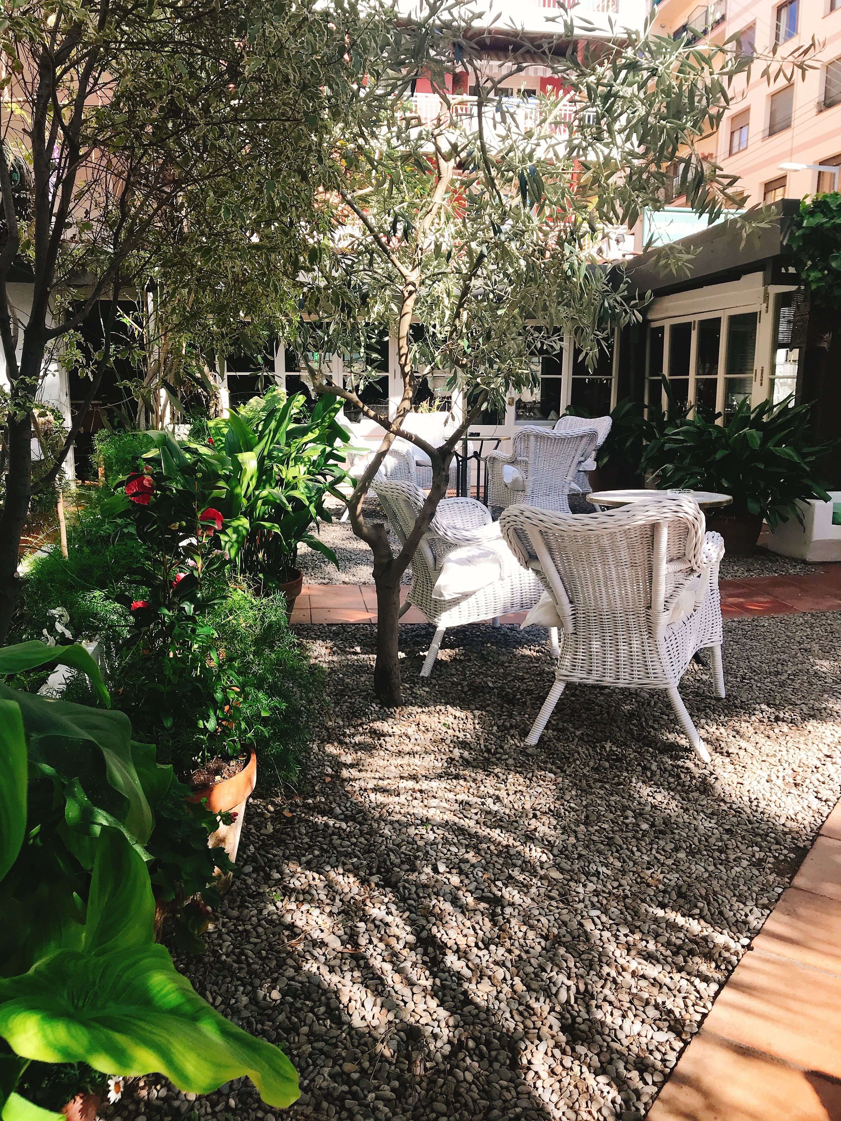 Un espace extérieur aménagé avec des chaises en osier et un pot de fleurs.