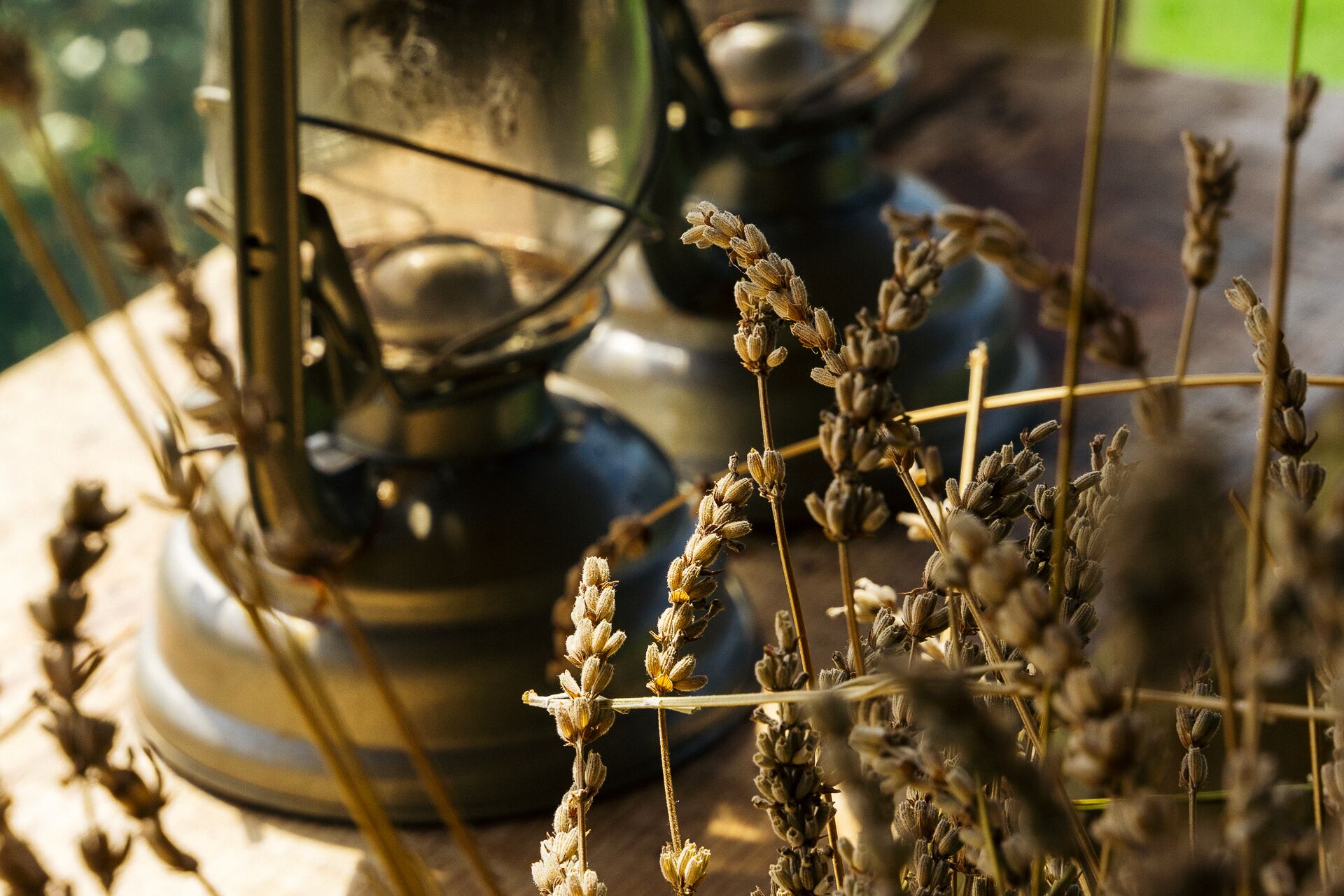 Un entorno rústico con plantas secas y un farol antiguo.