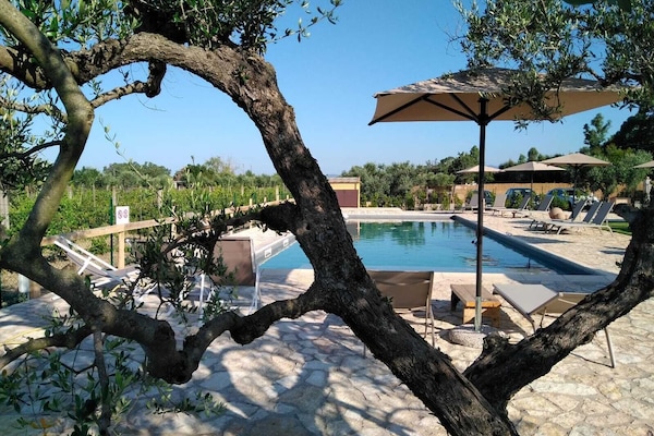 Seasonal outdoor pool, pool umbrellas, pool loungers