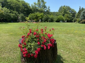 A garden with a wooden stump planter filled with red flowers.