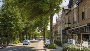 Niet-geclassificeerde afbeelding, 2 van 9, knop