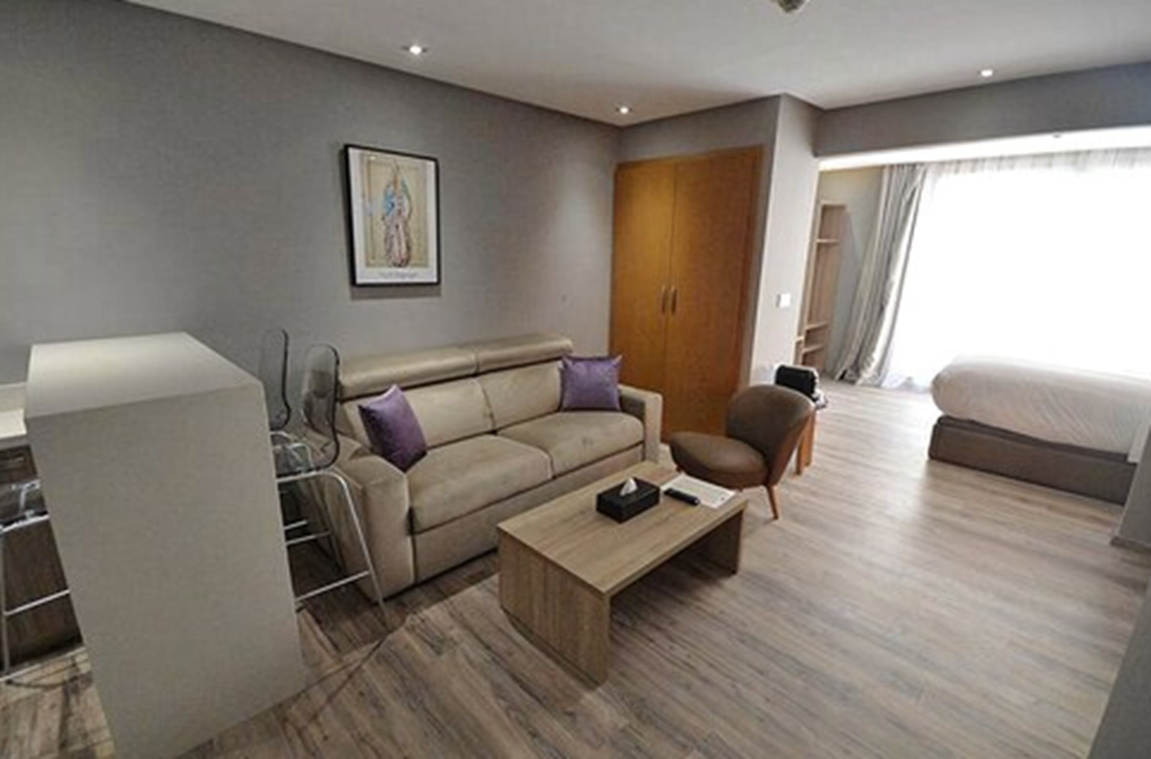 Senior Apartement with Terrace  | 客房景观