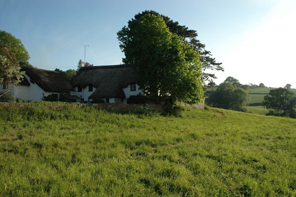 A traditional white house with a thatched roof, surrounded by a lush green field and trees.