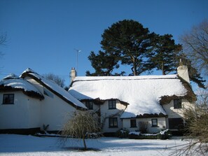 Exterior - 16th Century Thatched Cottage in an Acre of Mature Gardens (Bideford)