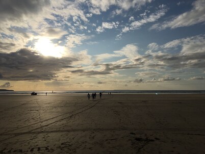 16th Century Thatched Cottage in an Acre of Mature Gardens