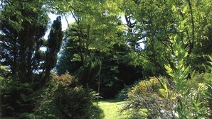 Un jardí exuberant amb una varietat de plantes i flors, un prat verdós i arbres alts.