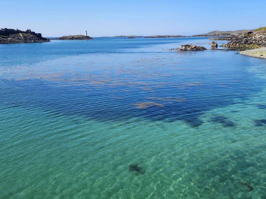 Landuitzicht vanuit accommodatie