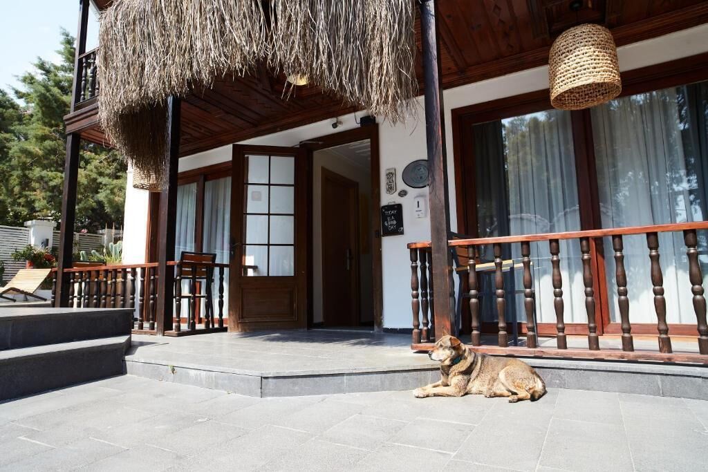Un perro descansando en el porche de un edificio con baranda de madera y techo de paja.