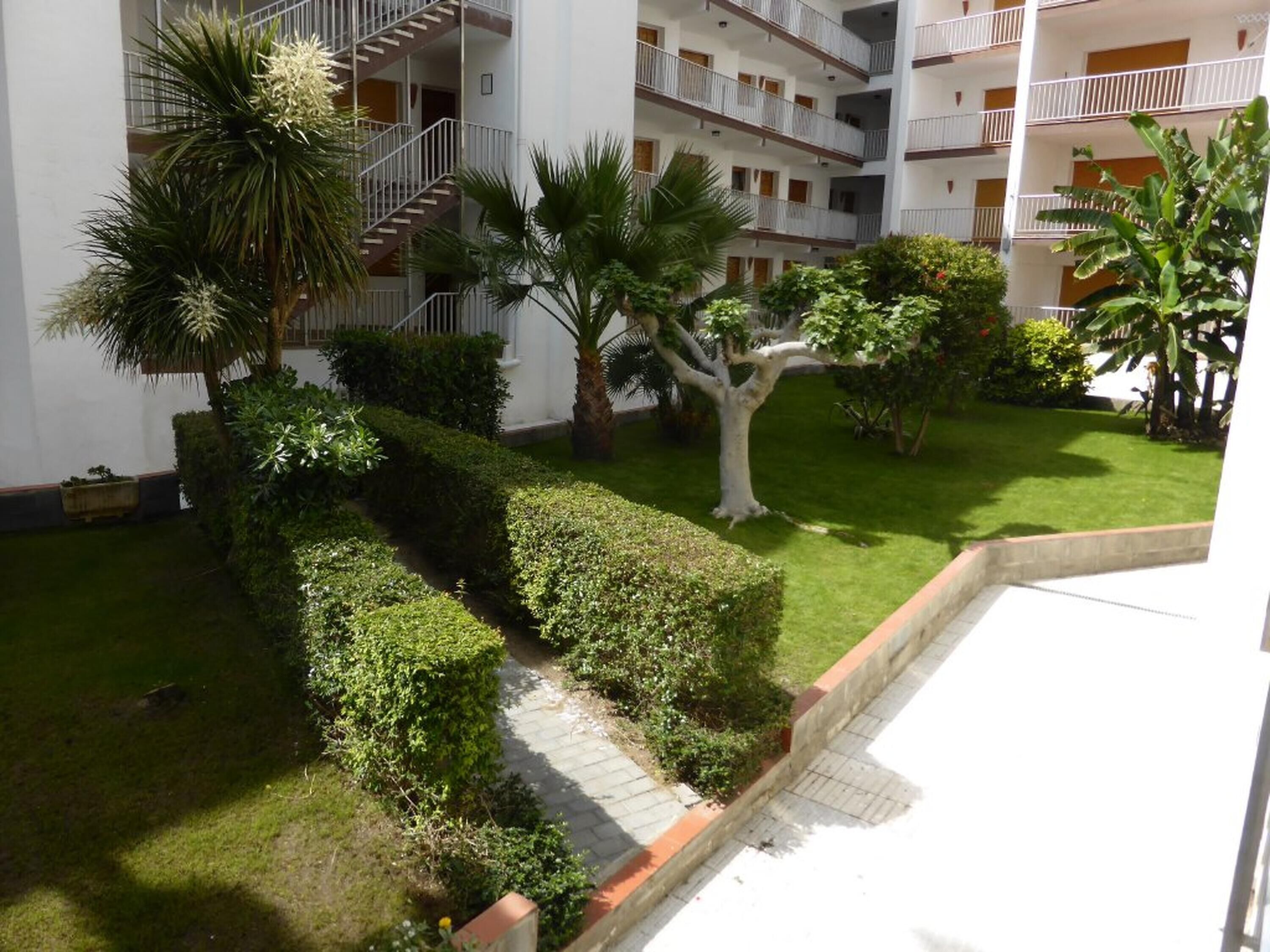 A courtyard with a central pathway, surrounded by neatly trimmed hedges and palm trees.