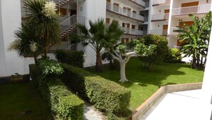 A courtyard with a central pathway, surrounded by neatly trimmed hedges and palm trees.