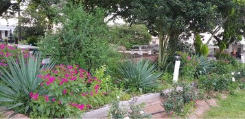 Jardim