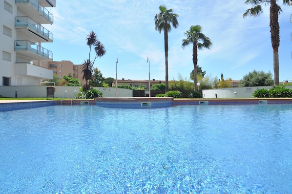 A swimming pool with clear blue water, surrounded by a low wall and palm trees.