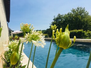 A swimming pool with clear blue water, surrounded by lush greenery and flowering plants. - Château D'hodebert (Saint-Paterne-Racan)