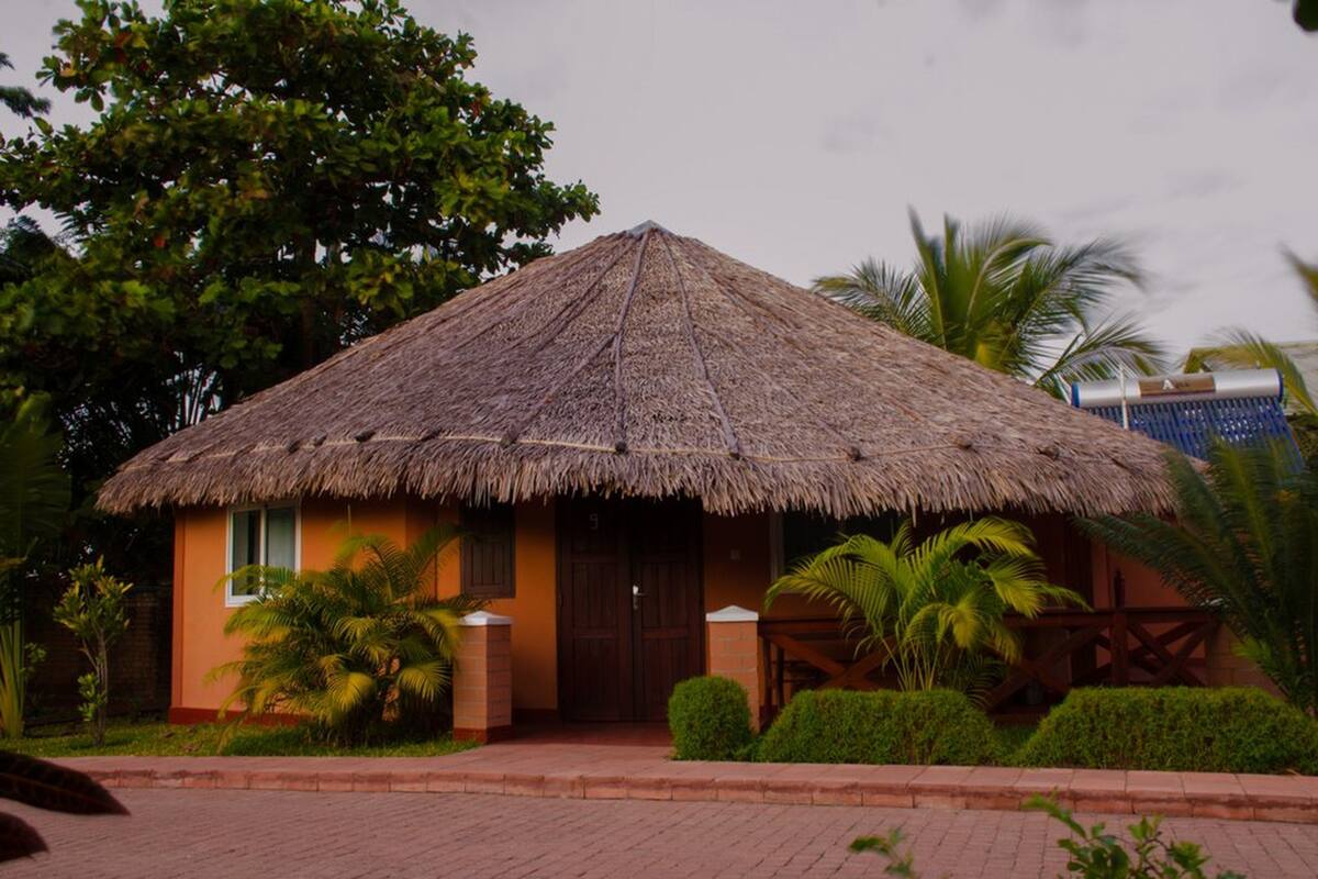 A thatched-roof building with a wooden door, surrounded by greenery and palm trees.