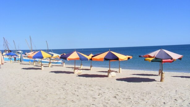 A beach with rows of colorful umbrellas and beach chairs, a clear blue sky, and calm sea. - Edena Kely (Mahajanga)