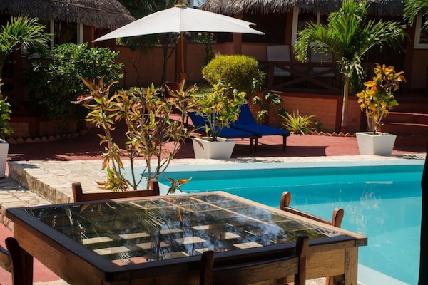 Outdoor pool, sun loungers