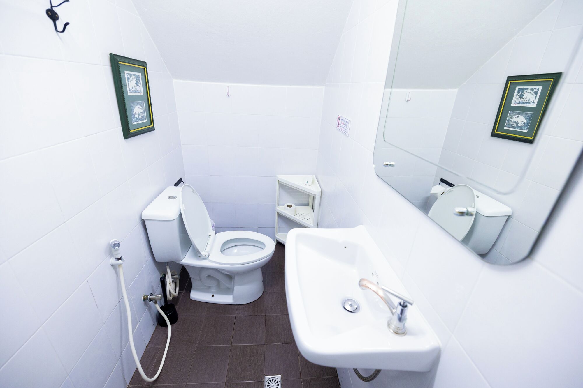 A small, white bathroom with a toilet, sink, and a shower area. There are framed pictures on the walls.