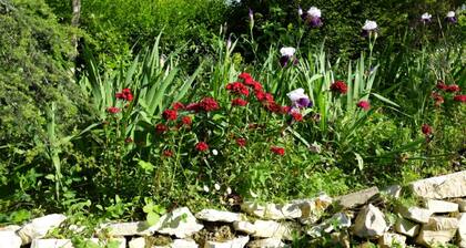 B&B Ca' Dell'Olmo