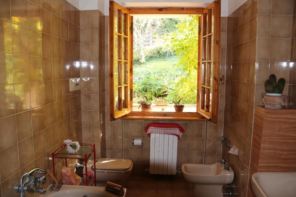 Hair dryer, bidet, towels