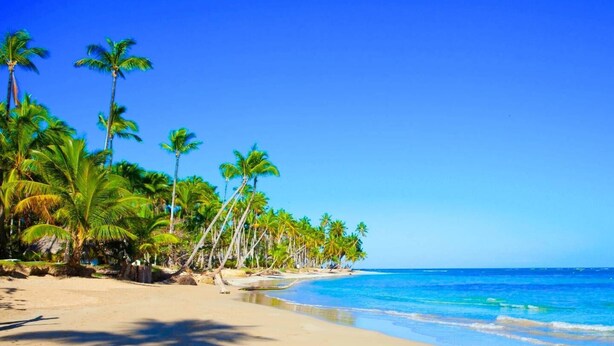 Una playa con palmeras y agua azul cristalina.