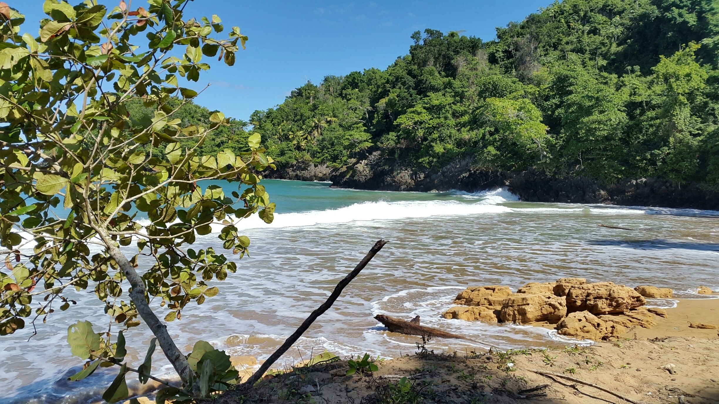 A beach with clear water, a sandy shore, and a forested hillside in the background.