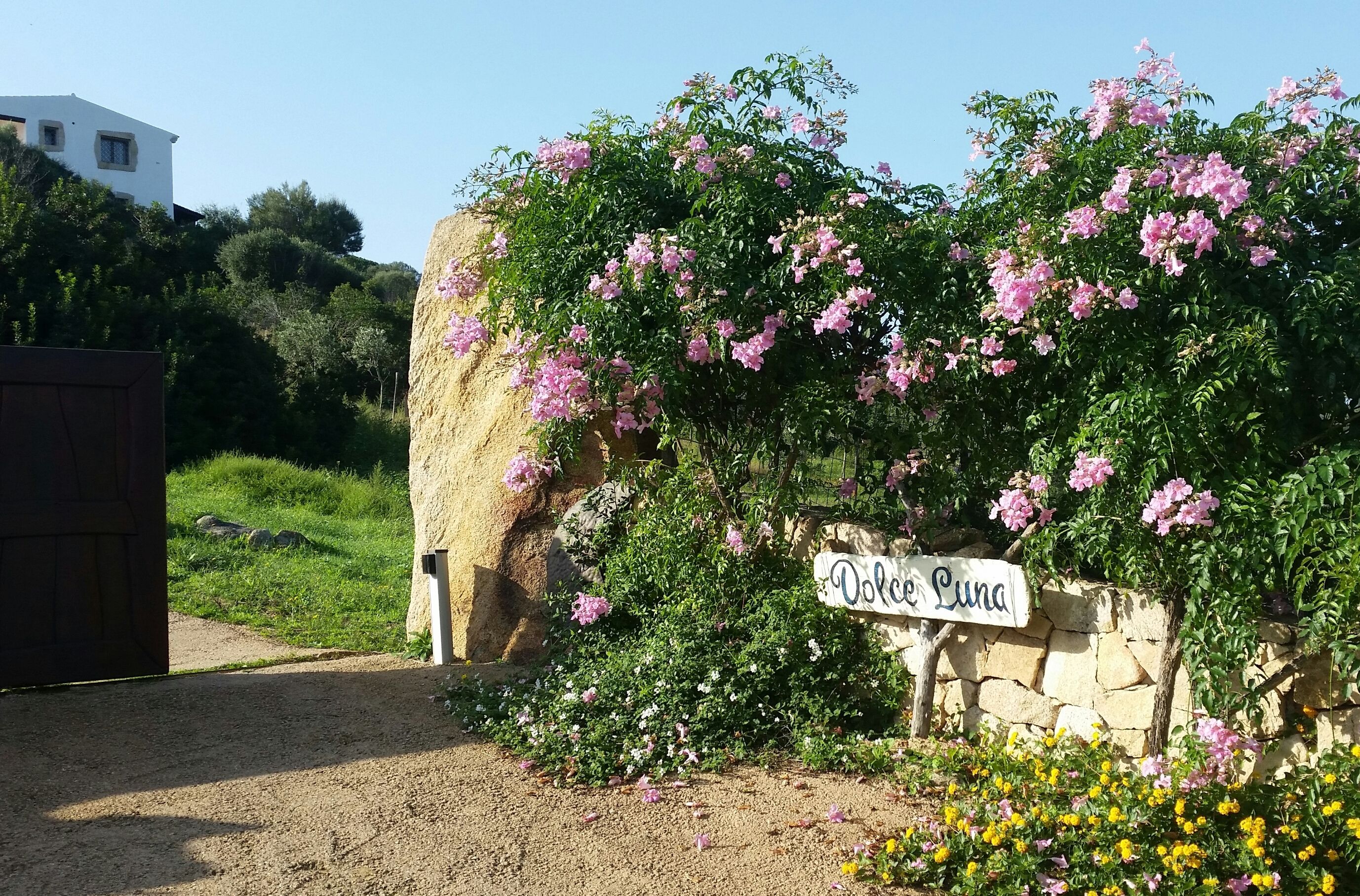Cartell amb la frase "Dolce Luna", flors roses i una paret de pedra.