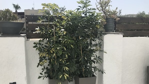 شرفة/رواق