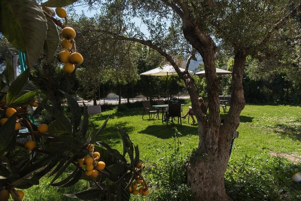 BBQ/picnic area