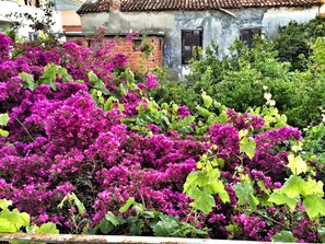 숙박 시설 구내