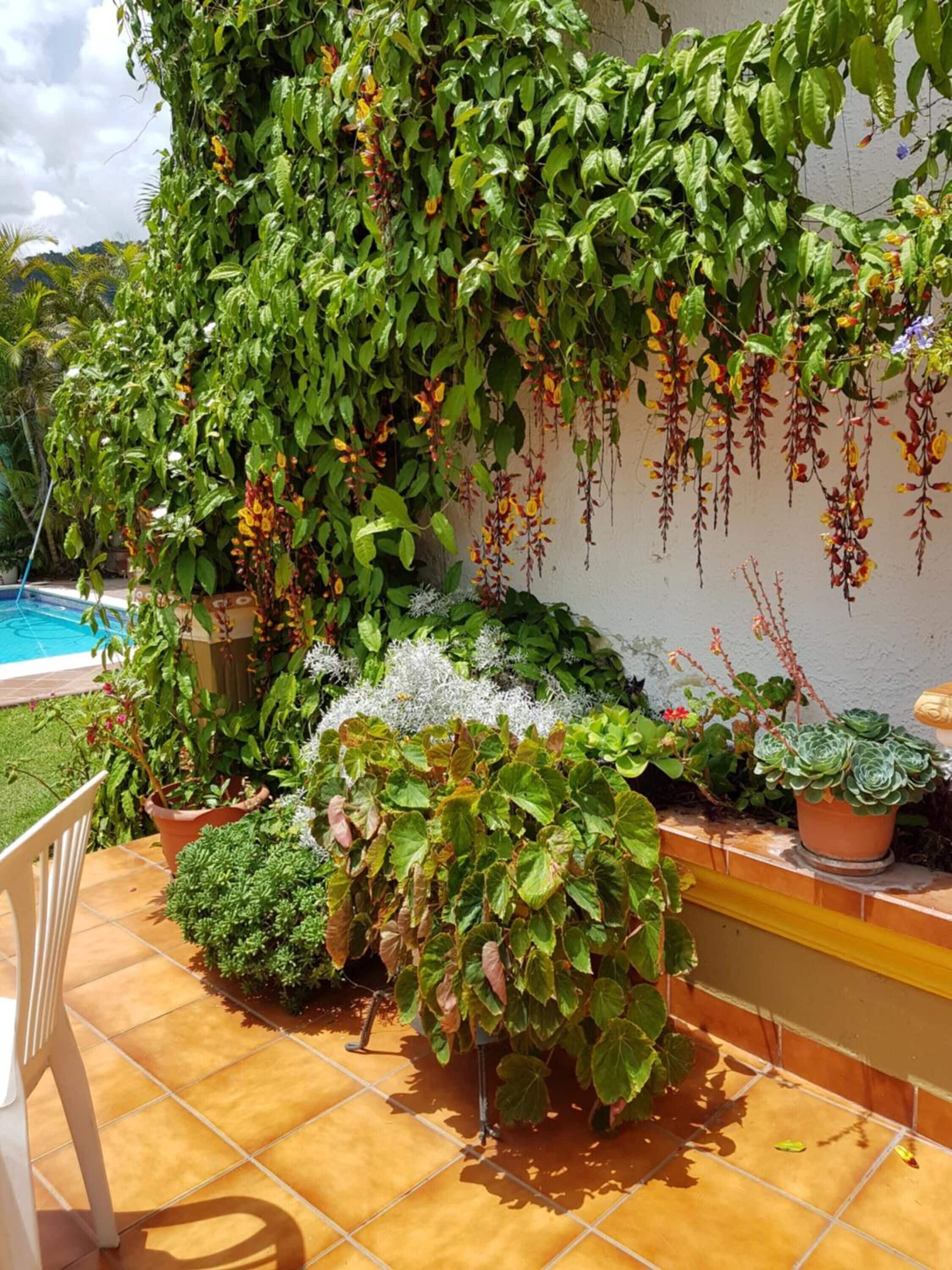 Photo - Perla Maya Hotel