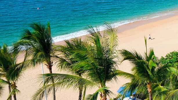 Uma praia com águas azuis cristalinas, palmeiras e uma paisagem urbana ao longe.