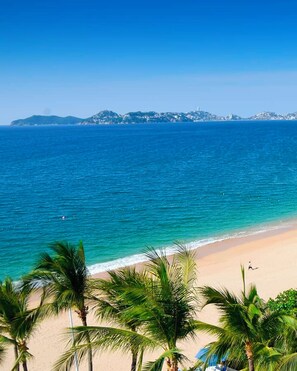 A beach with clear blue water, palm trees, and a distant cityscape.