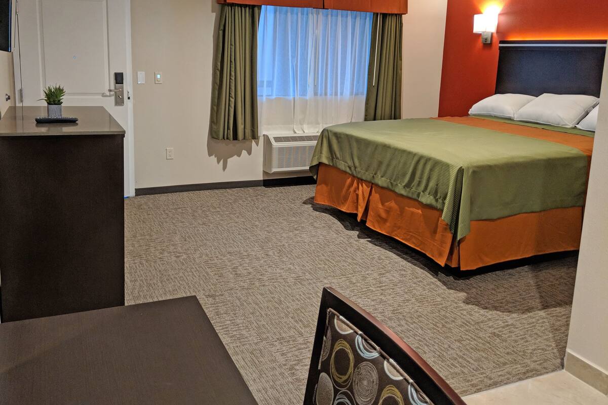 Une chambre d’hôtel avec un lit, un bureau, une plante en pot, une fenêtre avec des rideaux et un luminaire fixé au mur.