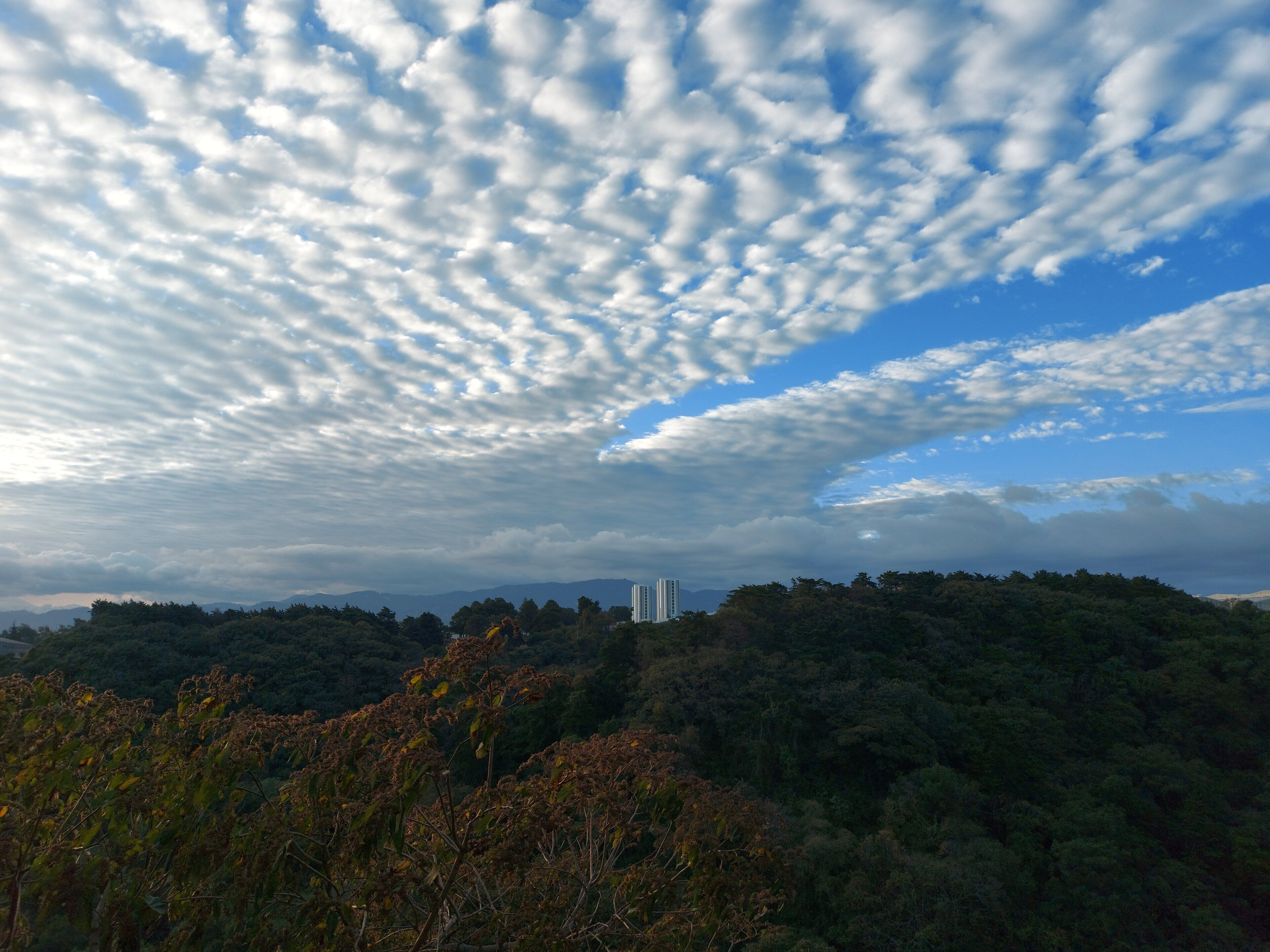 Un paysage comprenant une colline boisée, un bâtiment situé au loin et un ciel nuageux.