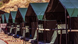 Een rij tenten met een eenvoudig, functioneel ontwerp, gerangschikt op een camping.