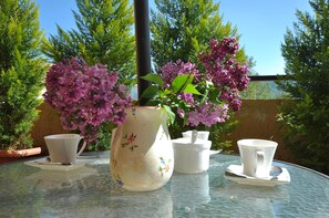 Superior Family Room with Balcony | Terraço/pátio