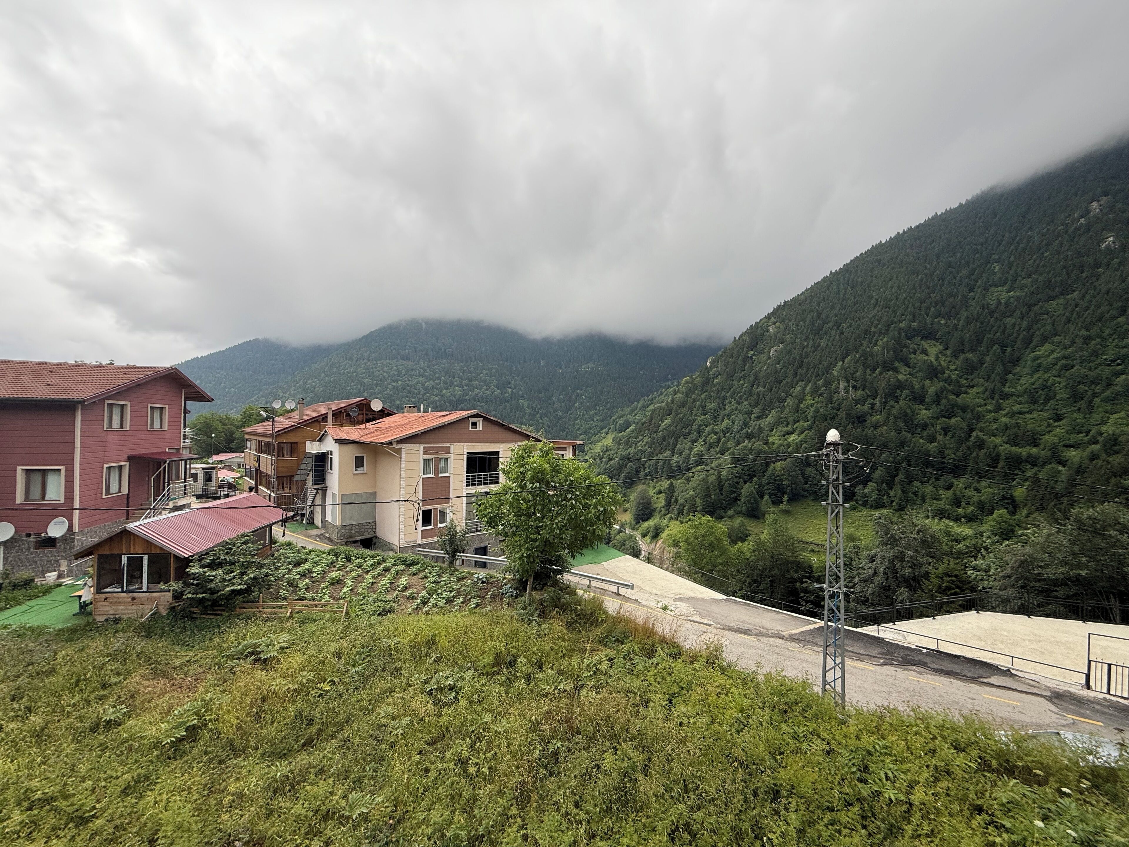 Vista desde la habitación