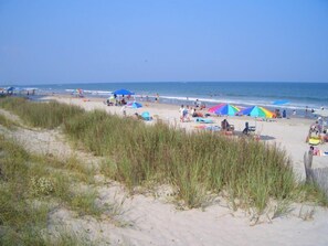 Vlak bij het strand, ligstoelen aan het strand, strandlakens