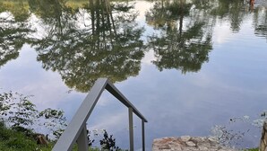 A tranquil outdoor setting with a stone pathway leading to a calm body of water, surrounded by lush greenery and trees.