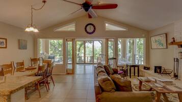 TV connectée, cheminée, lecteur de DVD, livres