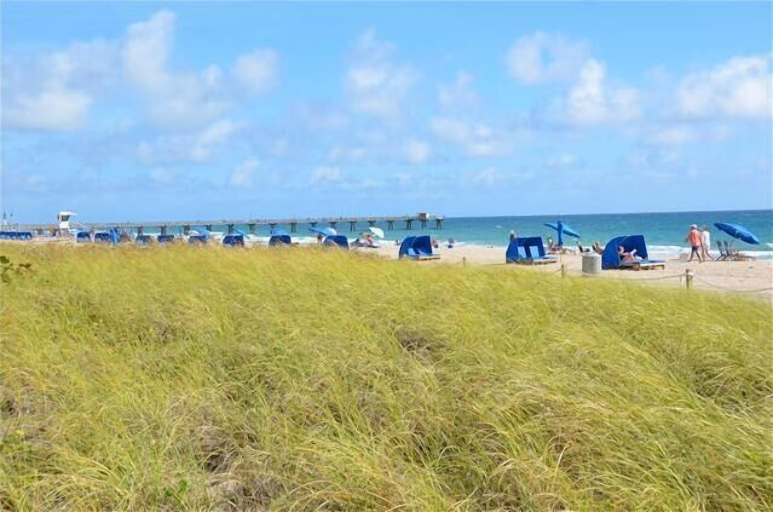 En strand med tält och en brygga i bakgrunden.