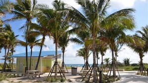 A beachside property with a small building, palm trees, and a clear view of the ocean. - BY THE SEA VACATION VILLAS 5 BED WATERFRONT/ POOL LARGE ESTATE NEAR BEACH (Pompano Beach,)