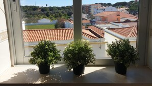Een raam met drie planten in potten op een balkon, met uitzicht op een woongebied met terracotta daken en groen.