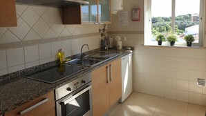 Een moderne keuken met granieten aanrecht, roestvrijstalen apparatuur en een raam met uitzicht op groen.