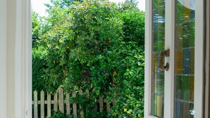 Un'apertura che dà su un giardino con una recinzione di legno e vegetazione.